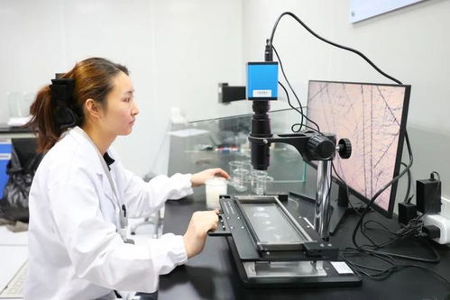 最美生產(chǎn)線 走進(jìn)中紡聯(lián)檢上海，探索檢驗(yàn)技術(shù)服務(wù)的卓越之旅